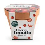 Radis et Capucine - Kit Tomate Cerise Bio - Pot en Terre Cuite Antique - 13 cm - PACKAGING_3D_VERSO